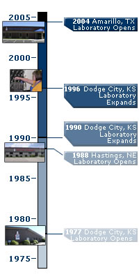 timeline1.jpg